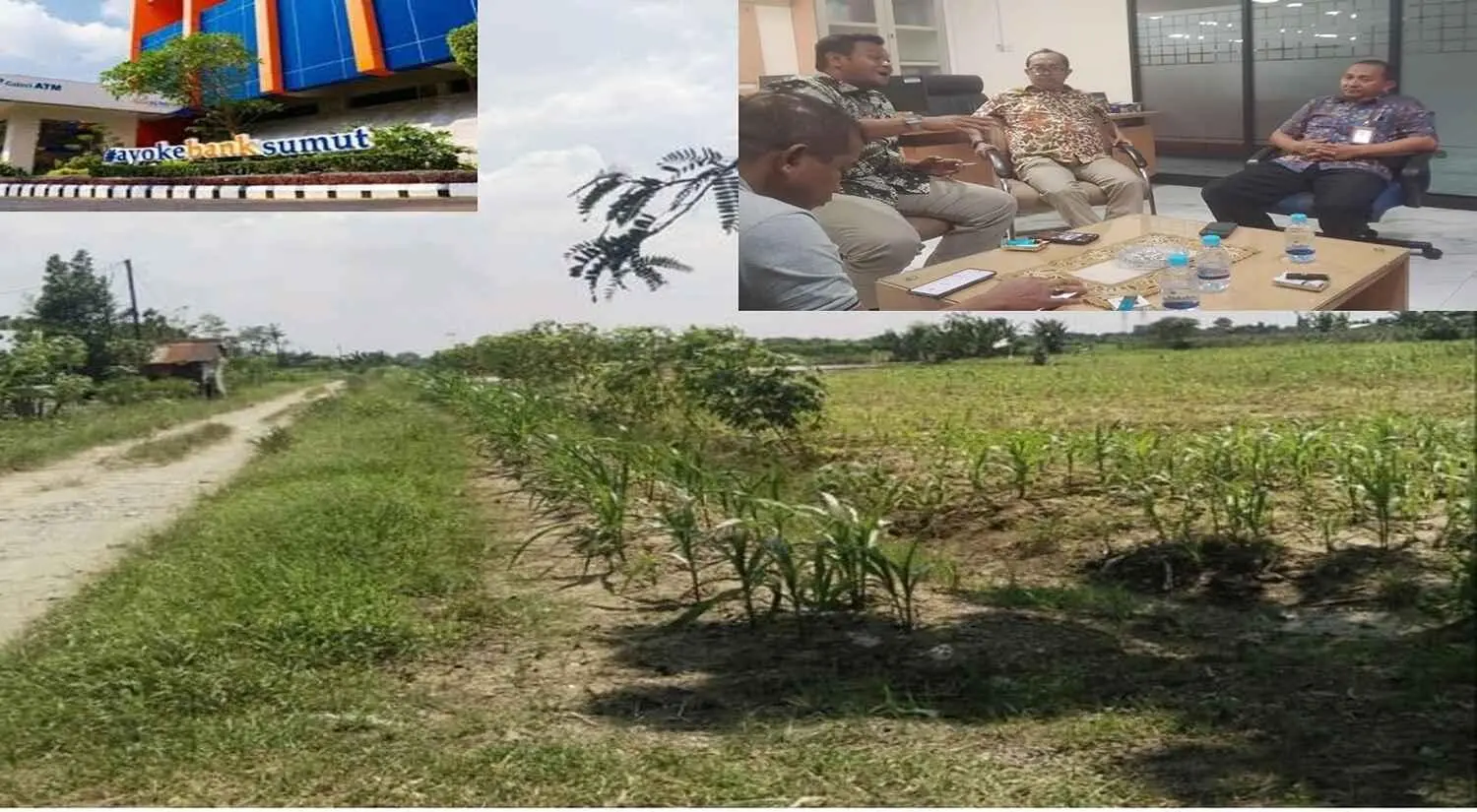 Kreditur 23 Miliar Wafat, Bank Sumut Belum Temui  Ahli Waris, Kredit Macet PT Pangripta Telah Disupervisi KPK Namun Tak Tuntaskan 