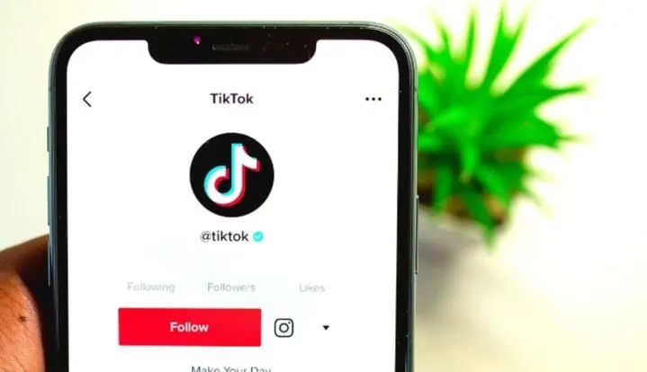 Kapan TikTok LIVE Menyala Kembali? Ini Penjelasan Resmi dari Pihaknya Terkait Kendala yang Terjadi 