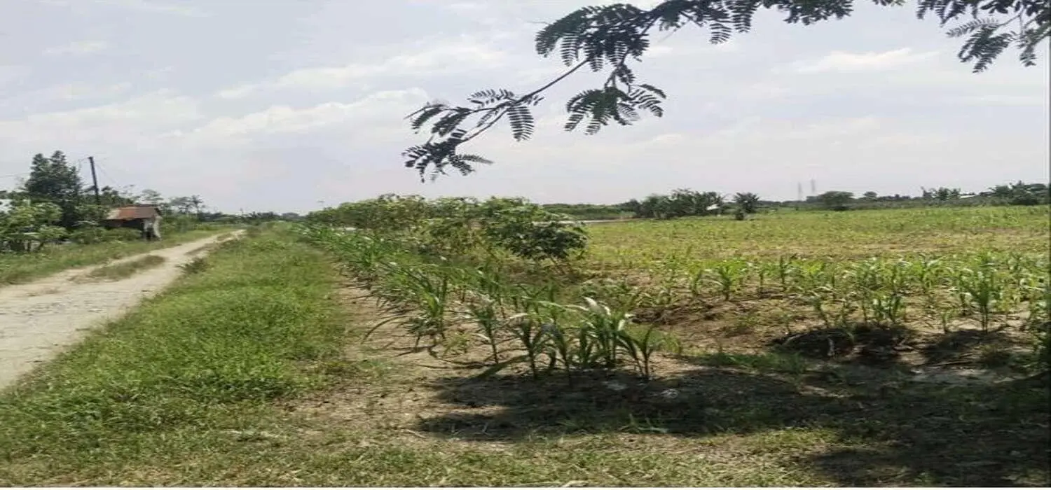 30 Tahun 23 Miliar Kredit Macet PT Spectra Graha, Gubsu dan Kejati Sumut Diminta Usut, Bank Sumut : Lagi Proses 