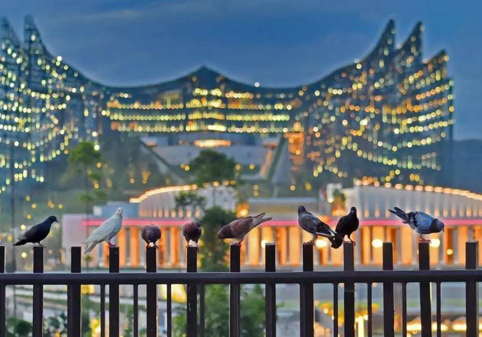 Wisata IKN Kian Diminati, Ini Cara Berkunjung dan Paket Tur di Kawasan IKN Hingga Kaltim