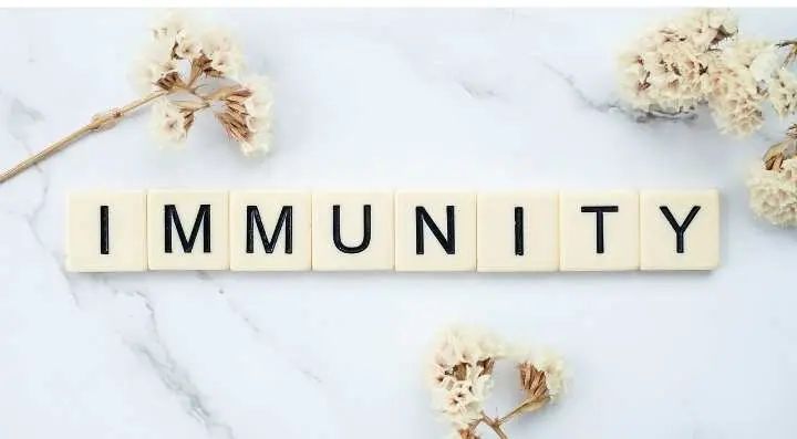 Meningkatkan Daya Tahan Tubuh dengan Makanan Sehat: Ini Daftarnya  ‎