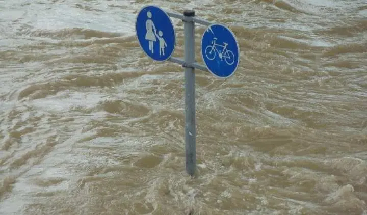 Banjir Besar di Bogor! Tiga Kecamatan Ini Tergenang Usai Hujan Deras: Daerah Mana Saja yang Terdampak?