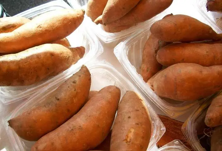 Rekomendasi Menu Sarapan Sehat untuk Usia 50 Tahun ke Atas  ‎