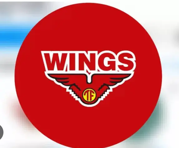 Wing Group Buka Pendaftaran Magang 2025 Mulai September, Catat Tanggalnya!