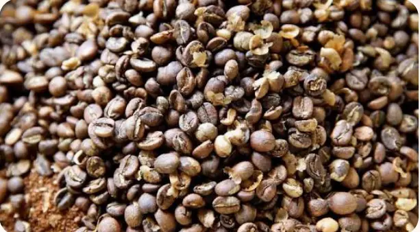 Perantau China Ini Jualan Kopi, Kini Jadi Orang Terkaya di RI