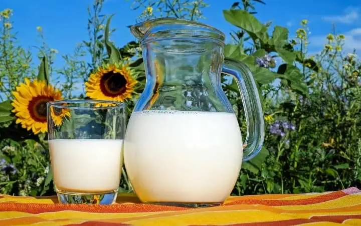 Rahasia di Balik Tradisi Minum Susu Putih Malam 1 Muharram, Simbol Awal yang Bersih