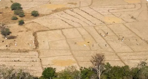 BNPB Tetapkan Status Siaga Kekeringan di Beberapa Provinsi, Masyarakat Diminta Waspada