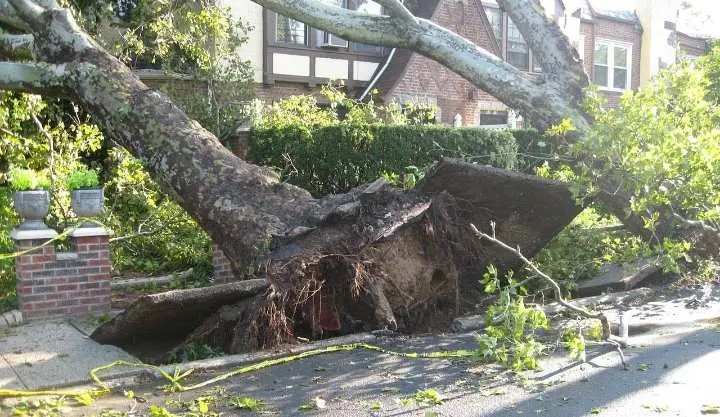 Angin Kencang Disertai Hujan Rusak Tiga Rumah di Kabupaten Tangerang  ‎