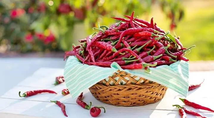 Harga Pangan Nasional Terbaru: Sejumlah Komoditas Alami Penurunan, Beberapa Naik Tipis