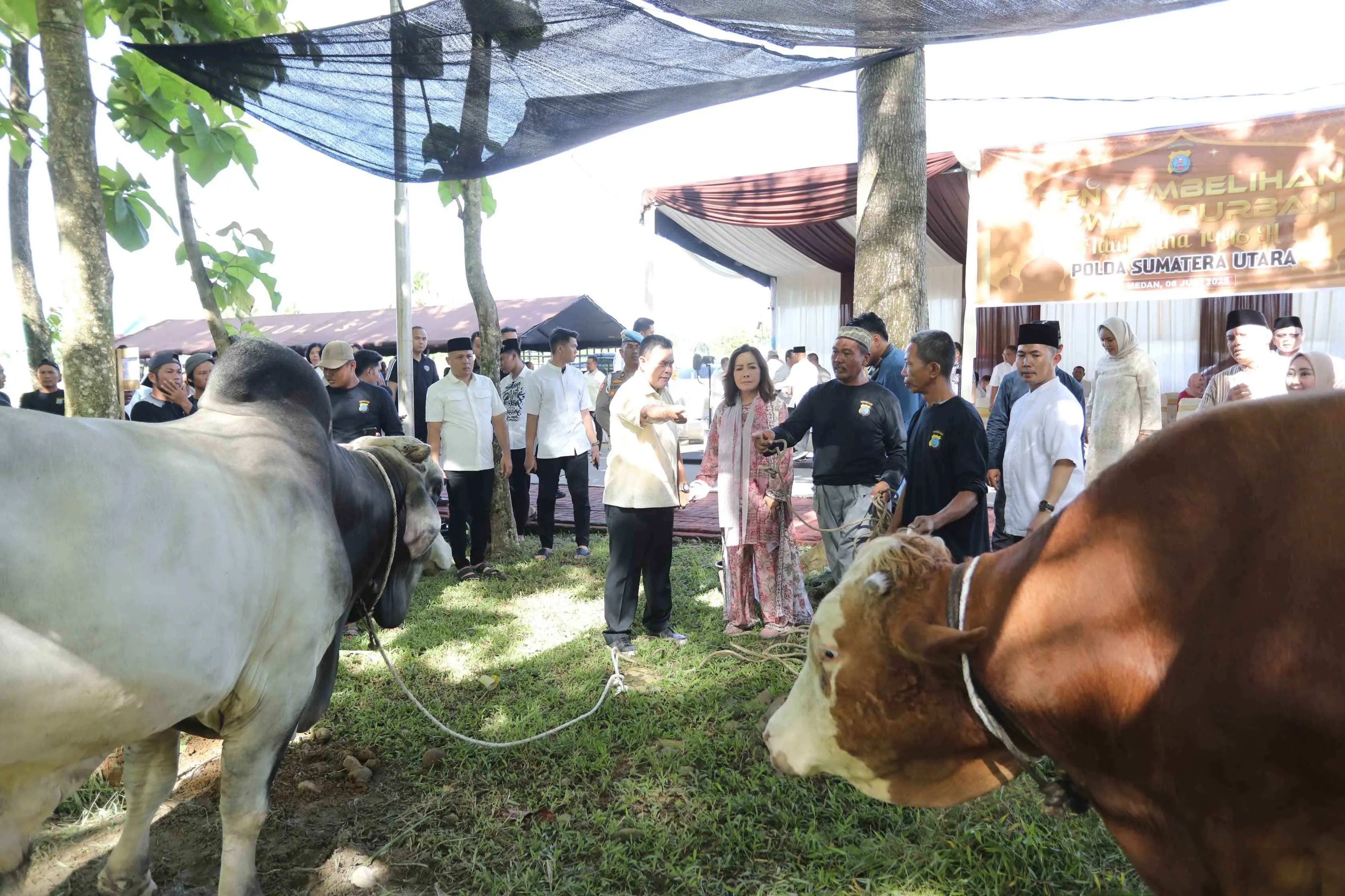 Polda Sumut Salurkan Ribuan Paket Daging Kurban untuk Masyarakat di Hari Raya Iduladha 1446 H