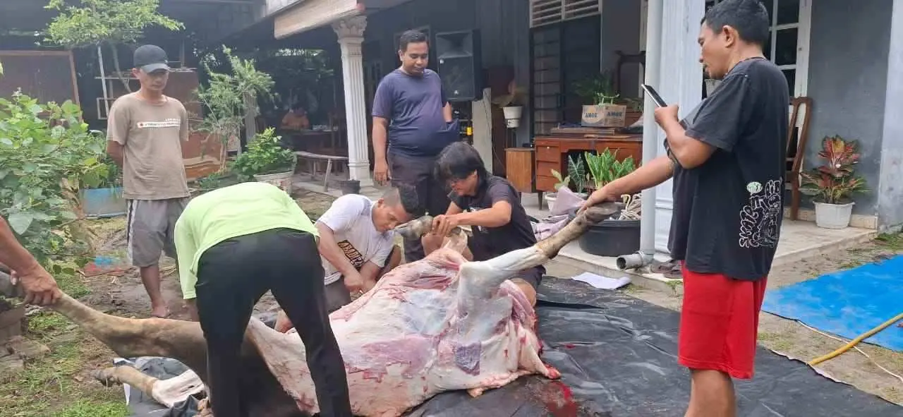 IKA BKPRMI Kota Medan Tebar Satu Hewan Kurban di Idul Adha 1446 H