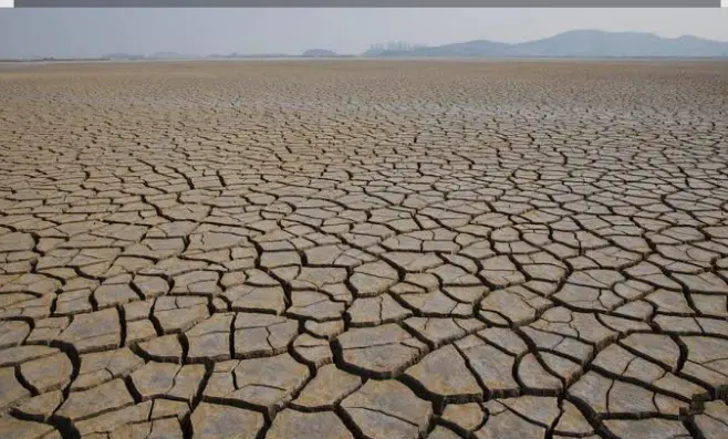 BMKG Ungkap Waktu Puncak Musim Kemarau 2025, Warga Diimbau Waspada