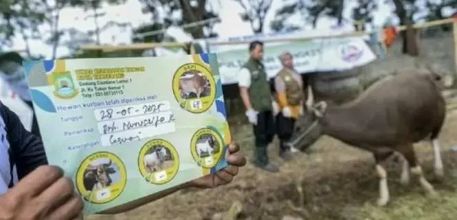 Pemkot Tangerang Kerahkan Satgas Kurban, Pastikan Proses Ibadah Berjalan Aman dan Tertib