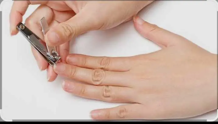 Hukum Terlanjur Potong Kuku Sebelum Qurban: Apa yang Perlu Diketahui Umat Muslim