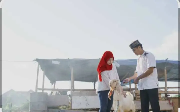 Bolehkah Berqurban Meski Belum Aqiqah? Ini Penjelasannya
