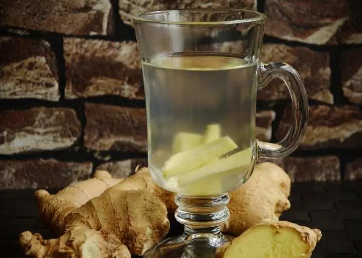 ‎Dijadikan Sebagai Pengobatan Tradisional, Ini Dia Khasiat Minum Rebusan Jahe Bagi Kesehatan Tubuh 
