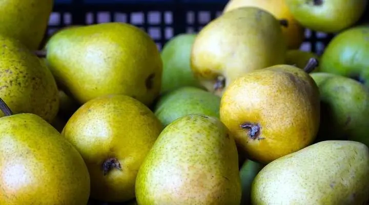 Segar dan Manis, Ini Dia 5 Manfaat Buah Pir Bagi Kesehatan Tubuh  ‎