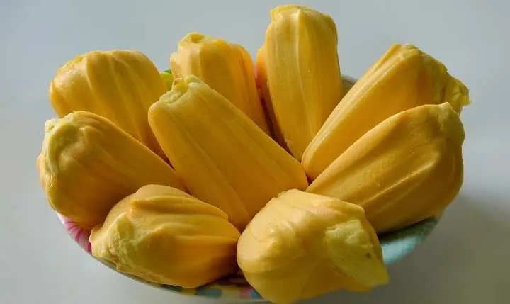 Manfaat Luar Biasa Buah Nangka Sebagai  Sumber Kesehatan, Salah satunya Baik Untuk Pencernaan   ‎