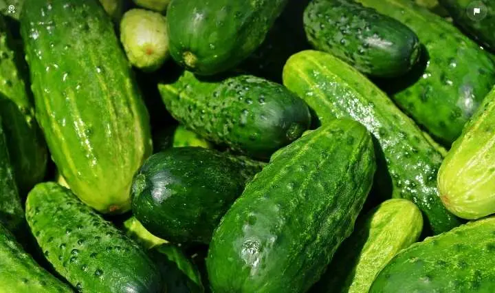 Manfaat Luar Biasa Timun bagi Kesehatan, Salah satunya Tingkatkan Kesehatan Jantung   ‎
