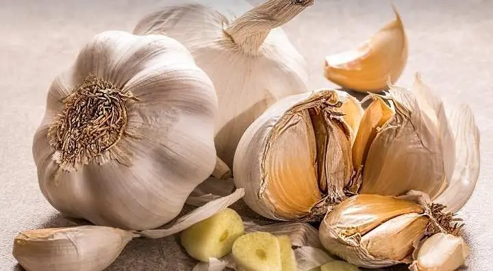 Manfaat Bawang Putih Sebagai Sumber Kesehatan dan Kekebalan Tubuh  ‎