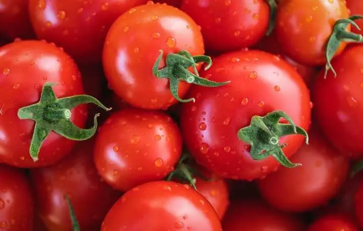 Manfaat Luar Biasa Tomat Sebagai Sumber Nutrisi dan Kesehatan  ‎