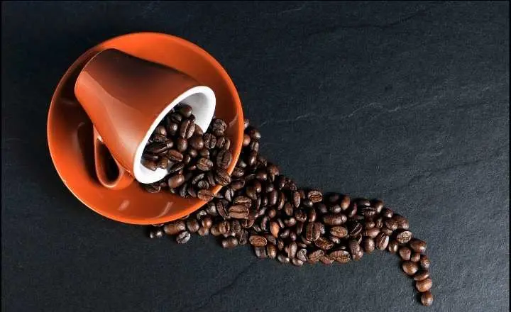 Pecinta Kopi Wajib Tahu, Inilah 5 Jenis Kopi Terenak di Dunia, Salah satunya Luwak  ‎