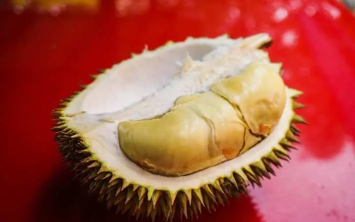 Memiliki Aroma yang Khas, Ini Dia 6 Fakta Menarik Buah Durian  ‎