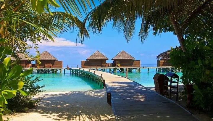 Fakta Menarik Negara Maladewa, Ternyata 100 Persen Penduduknya Beragama Islam