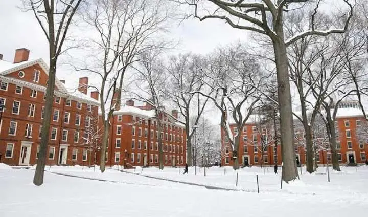 Nomor 1 Bukan Harvard, Inilah 3 Universitas Terbaik di Dunia Versi World University Rankings