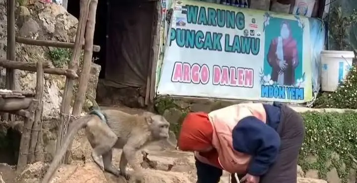 Keberlanjutan Warung Legendaris Mbok Yem di Gunung Lawu Setelah Sang Pemilik Tutup Usia, Apakah Akan Tetap Beroperasi?