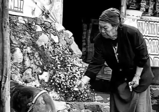 Fakta-fakta Warung Legendaris Mbok Yem di Gunung Lawu yang Jadi Spot Favorit Pendaki 