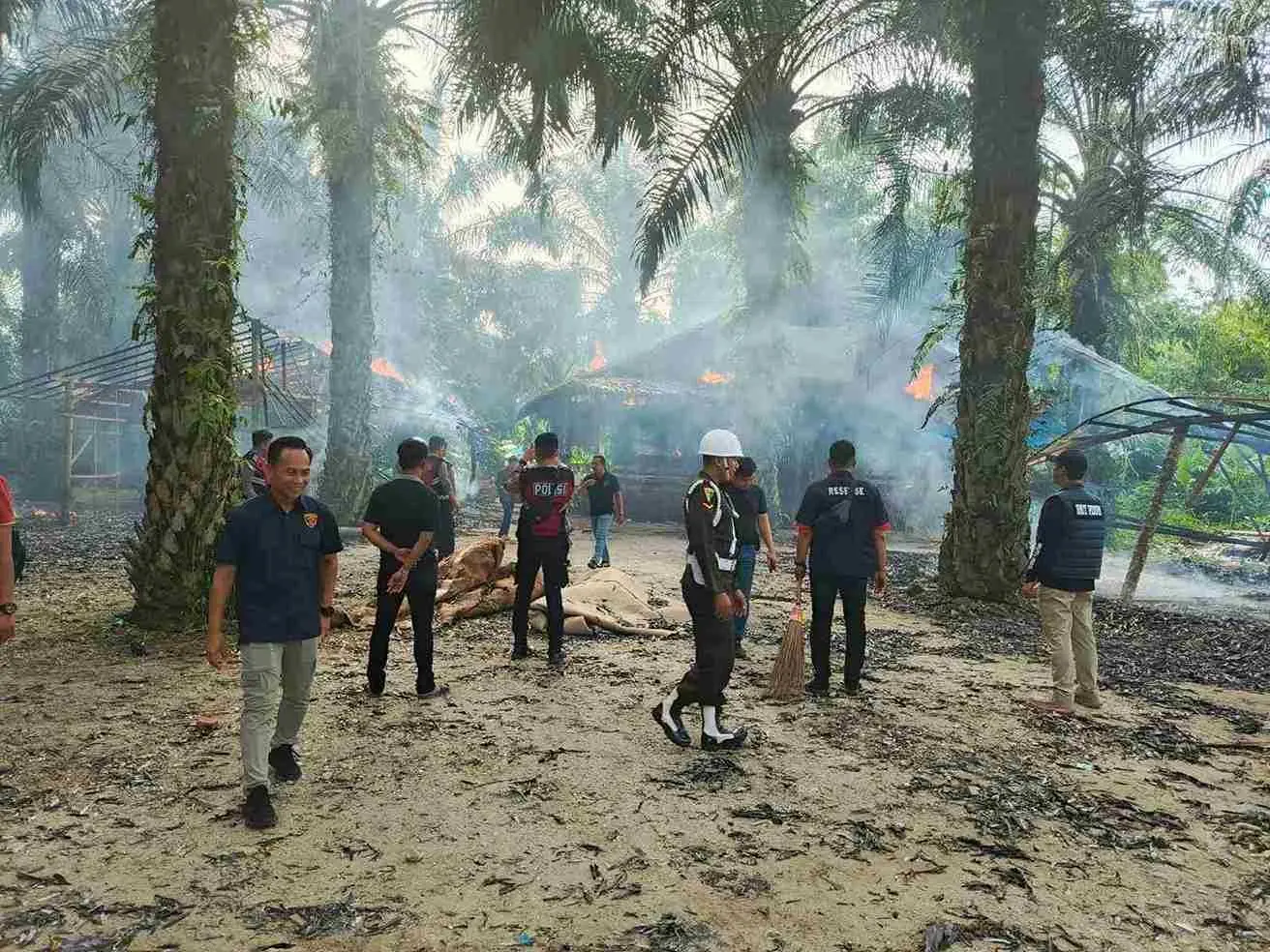 Gagal Tangkap Pelaku Sabung Ayam Saat Pengerebekan, Denpom 1/5 Medan dan Polrestabes Medan Bakar Fasilitas yang Tinggal