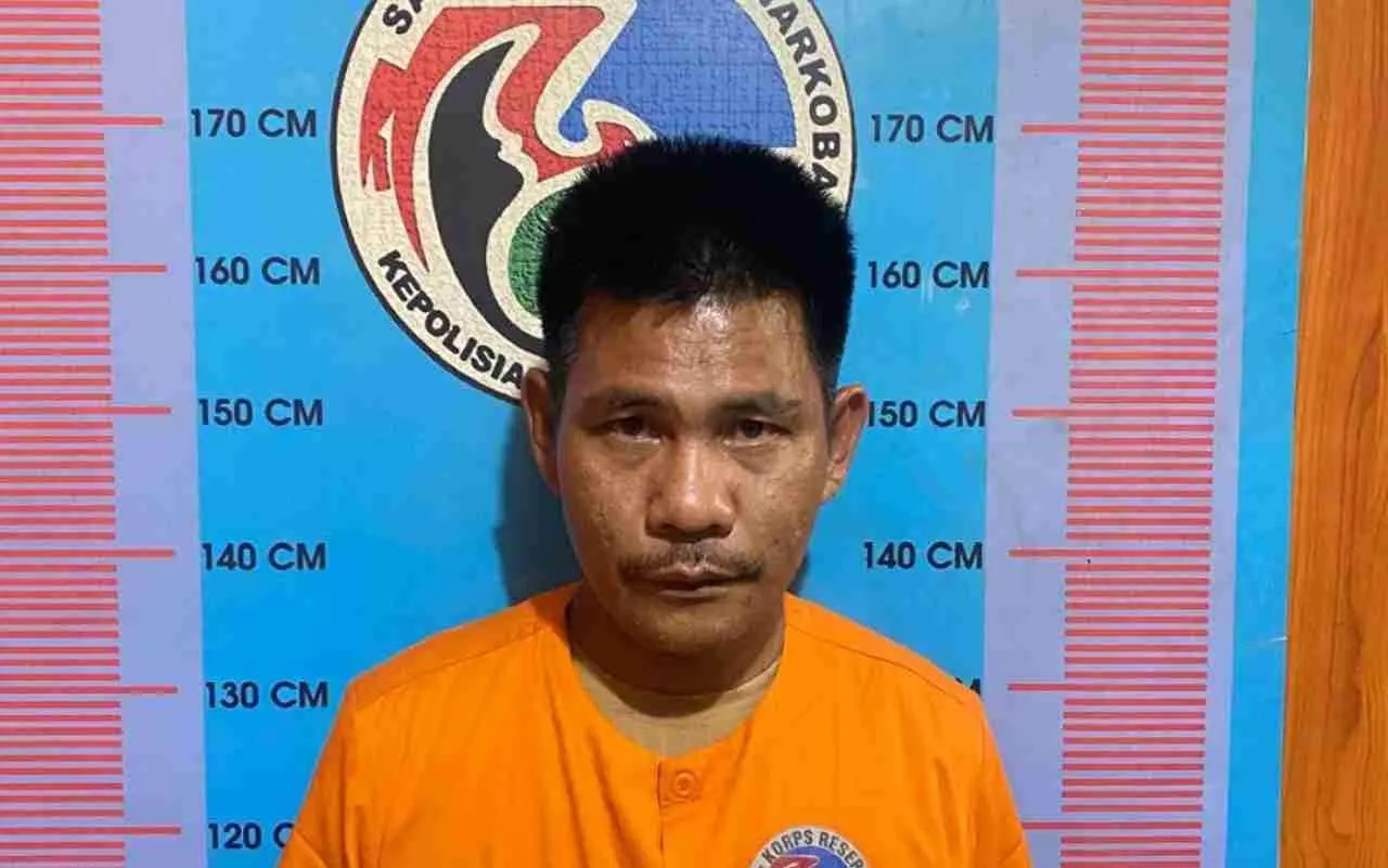 Tim Opsnal Satresnarkoba Polres Madina Tangkap Bandar Narkoba, 1,5 Ons Sabu Disita