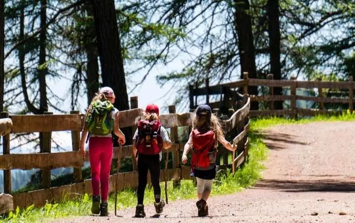 Mengenal Apa Itu Ekspedisi Gunung: Makna, Tujuan, dan Popularitasnya di Kalangan Warganet