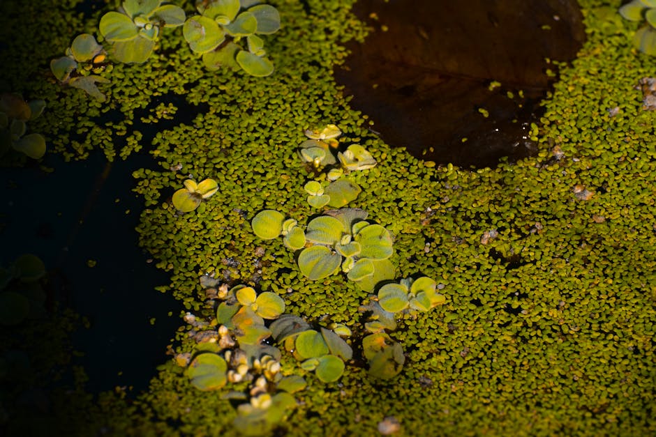 Seseorang yang sedang tersenyum percaya diri saat melakukan wawancara kerja di sebuah kantor modern.