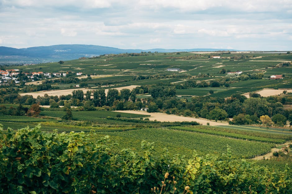 Menyingkap Harta Karun Tersembunyi: Strategi Inovatif Memajukan Ekonomi Daerah