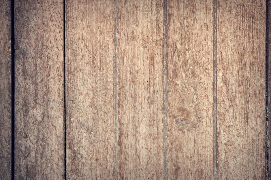 Seorang musisi sedang memainkan instrumen musik dengan penuh penghayatan di bawah sorotan lampu panggung yang hangat.