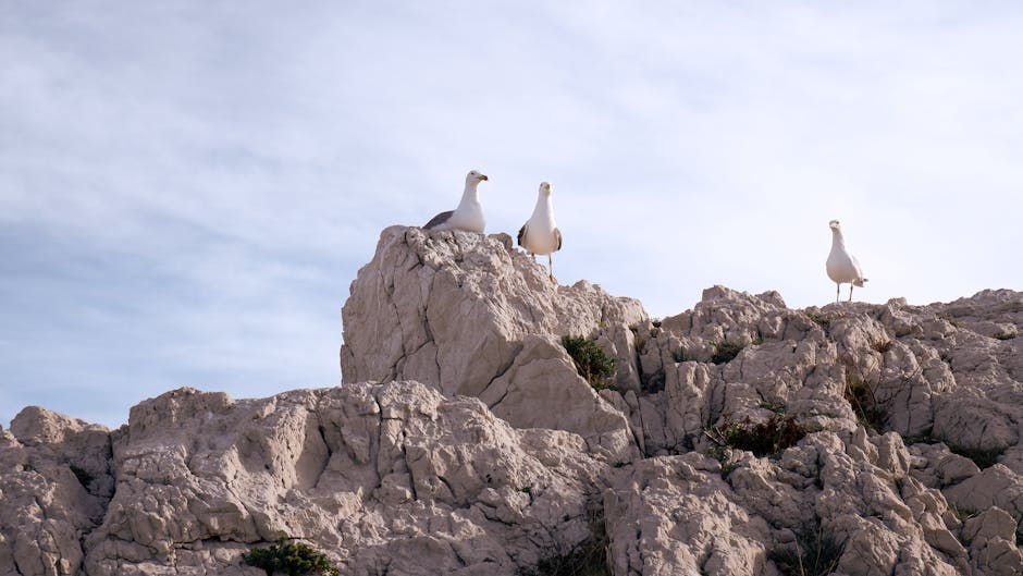Seorang mahasiswa sedang fokus menyusun dokumen aplikasi beasiswa di depan laptop dengan tumpukan buku referensi di sampingnya.